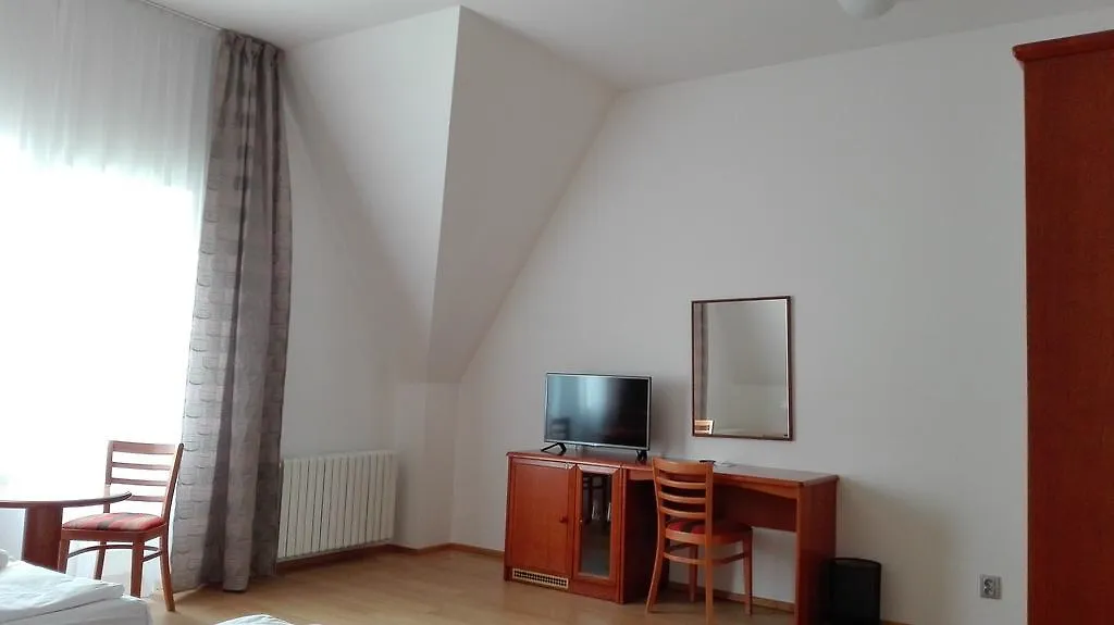 Hotel Pension Jana - Domov Mladeze Praga 2*,  Czechy