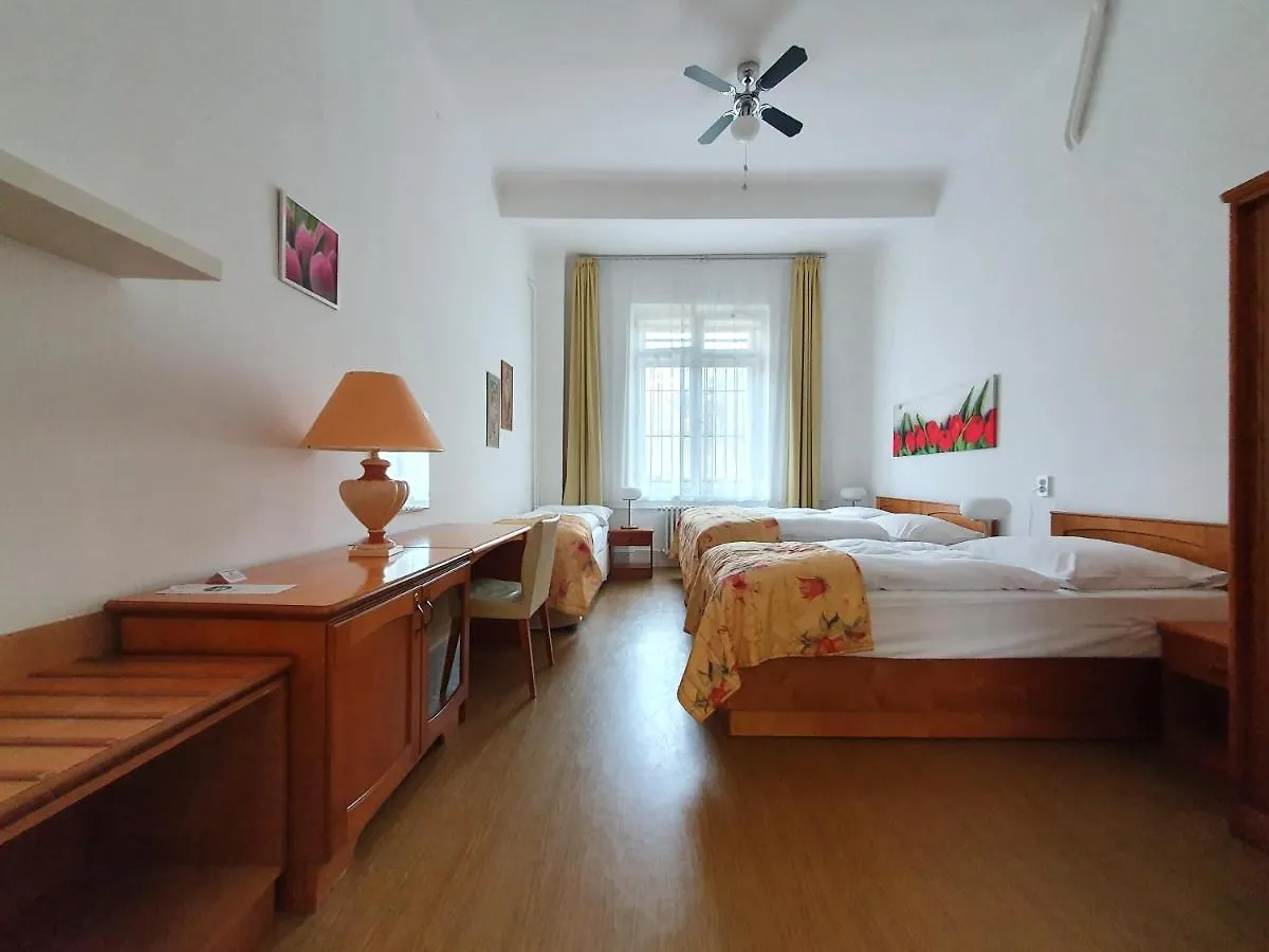 Pension Jana - Domov Mladeze Prague 2*,