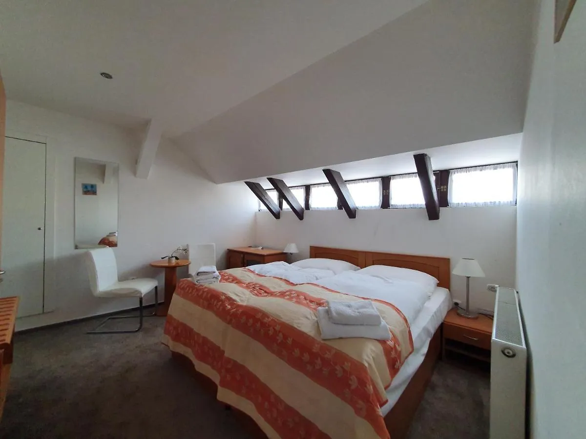 Hotel Pension Jana - Domov Mladeze Praga 2*,