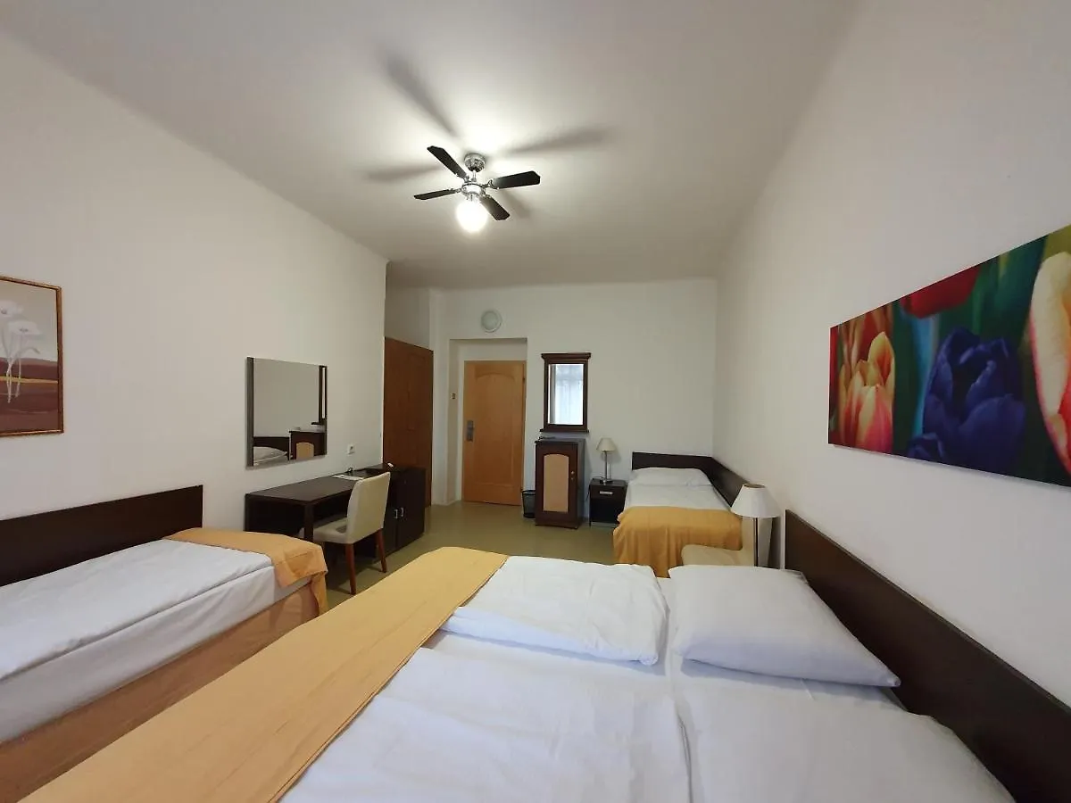 Pension Jana - Domov Mladeze 布拉格 2*,
