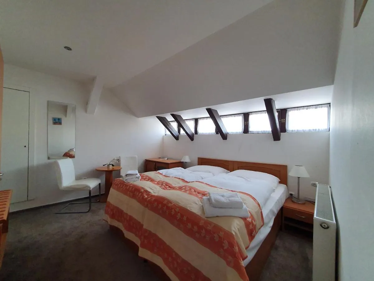 Pension Jana - Domov Mladeze 布拉格 2*,